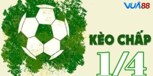 Kèo Chấp 1 Trong Cá Cược Bóng Đá: Bí Quyết Soi Kèo Chuẩn Xác Từ Cao Thủ